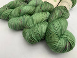 Cardamom