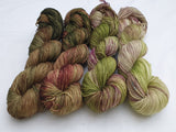 Conkers Fade Set. Merino Nylon 4-ply/fingering