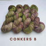 Conkers Fade Set. Merino Nylon 4-ply/fingering